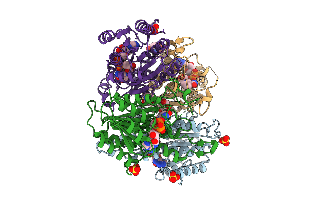 1E3W image