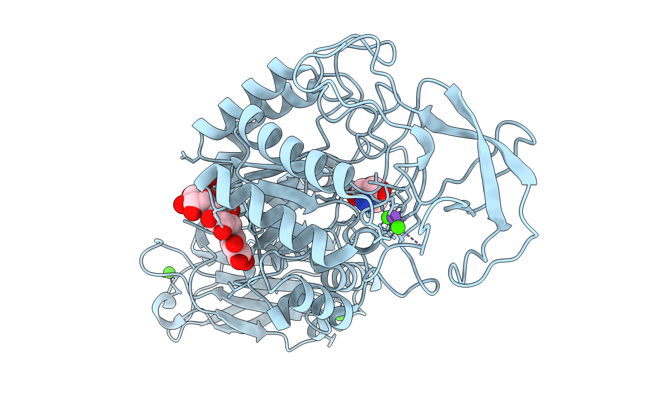 1E40 image