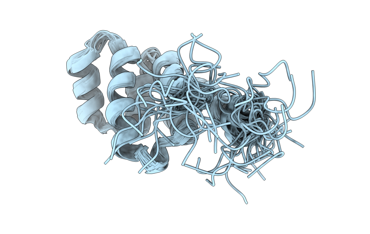 1E41 image