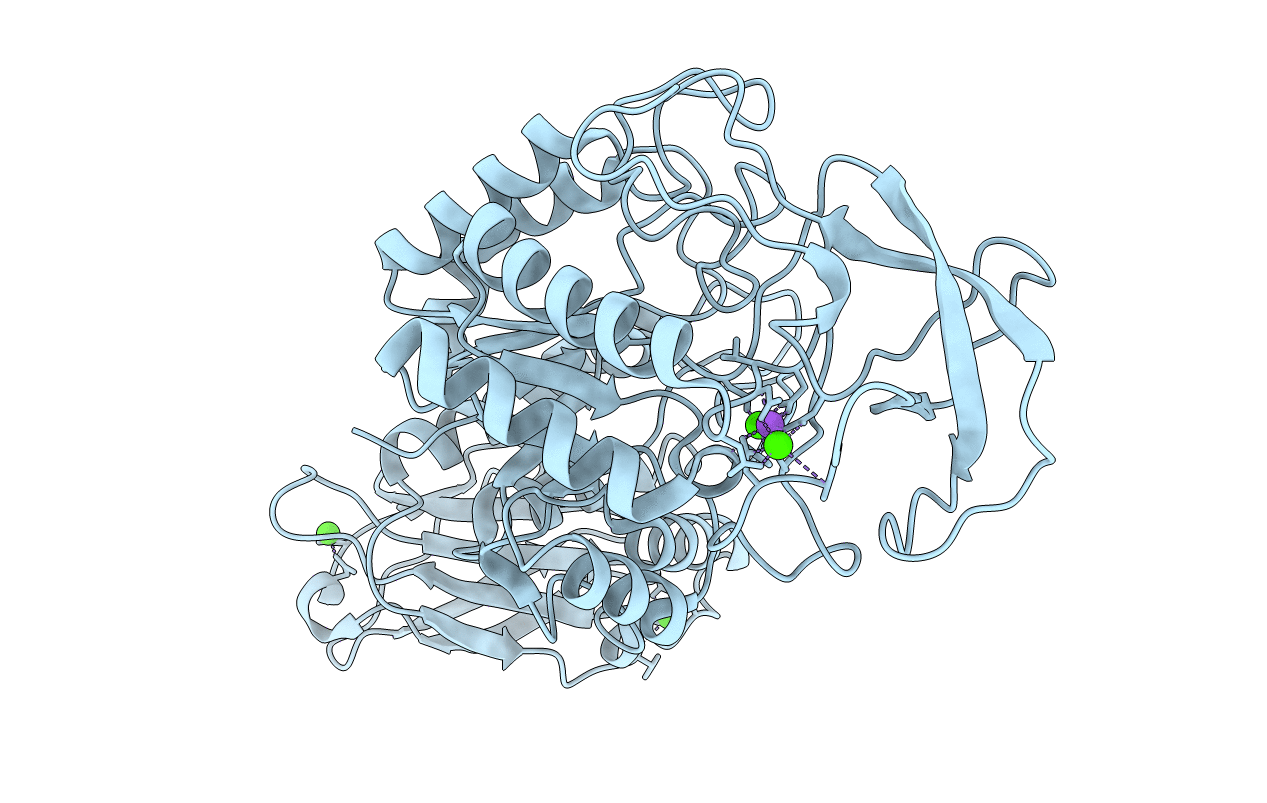 1E43 image