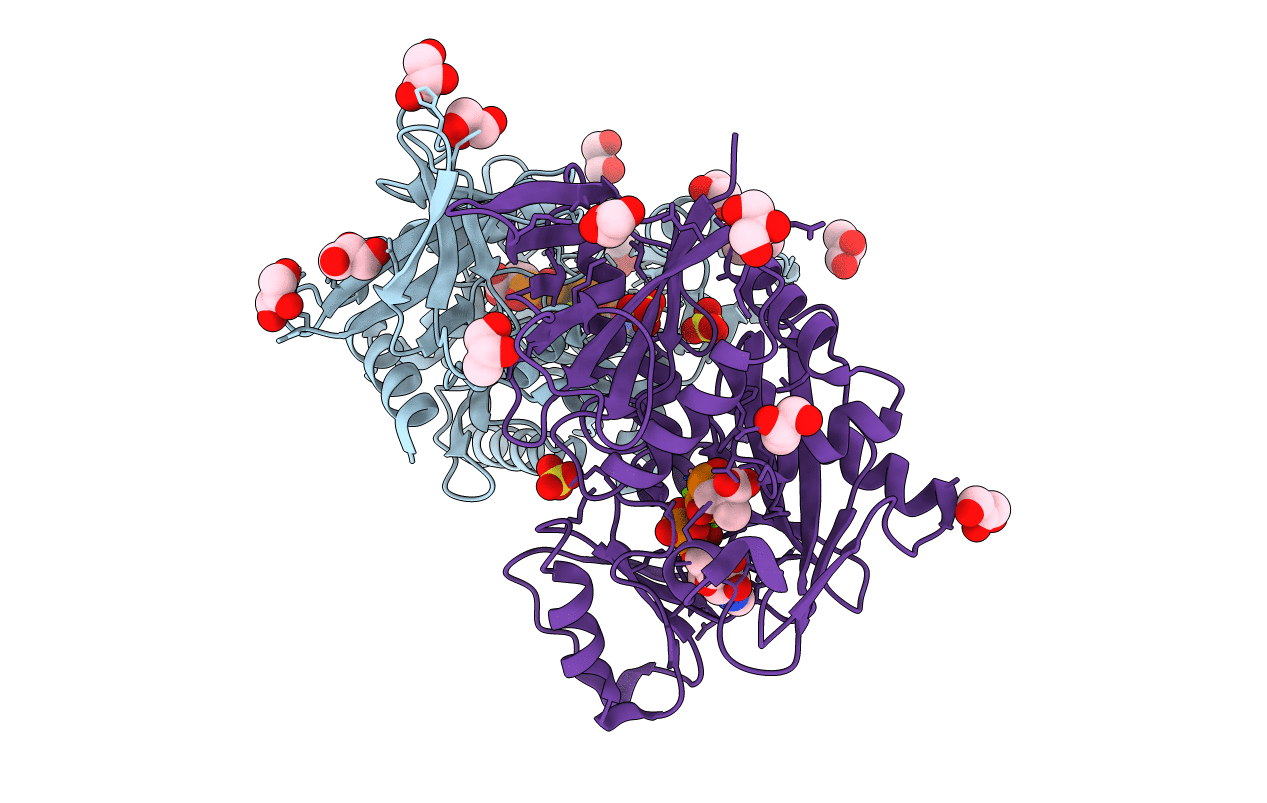 1E4E image