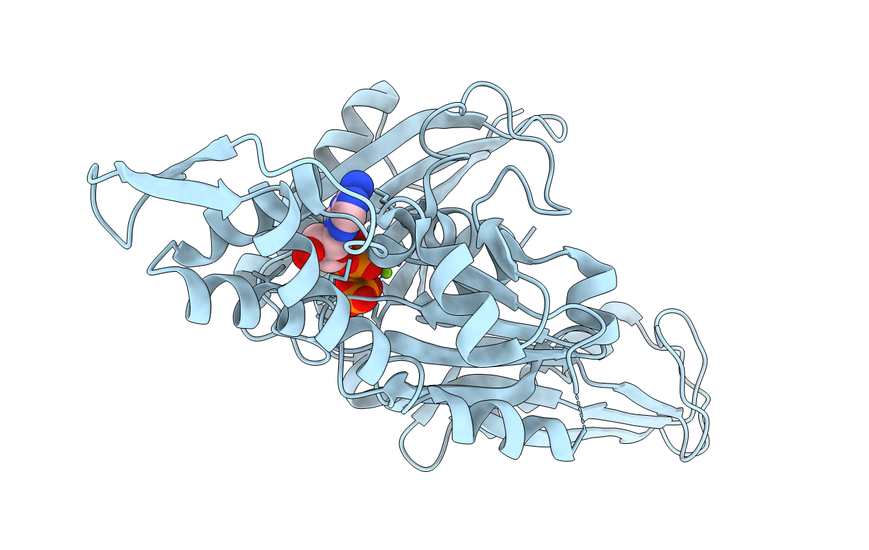1E4G image