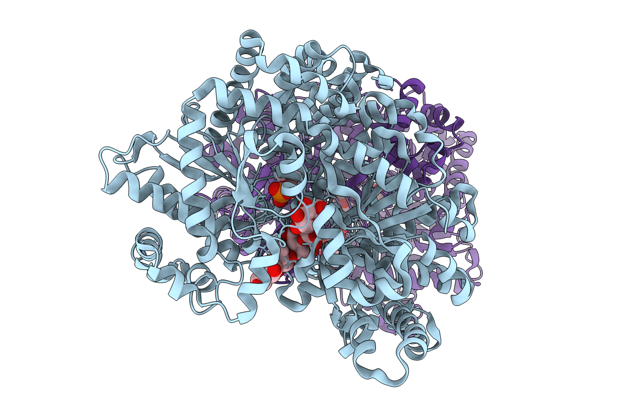 1E4O image