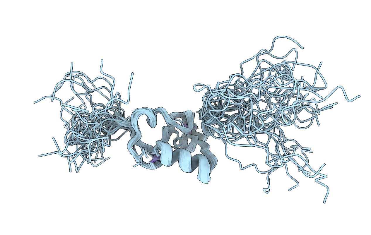 1E4U image