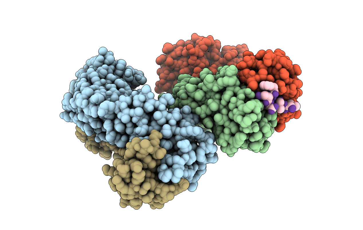 1E4X image