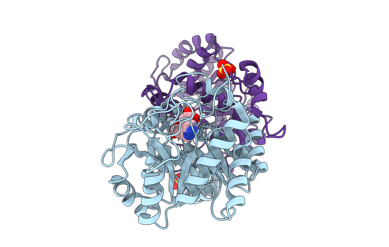 1e51 image