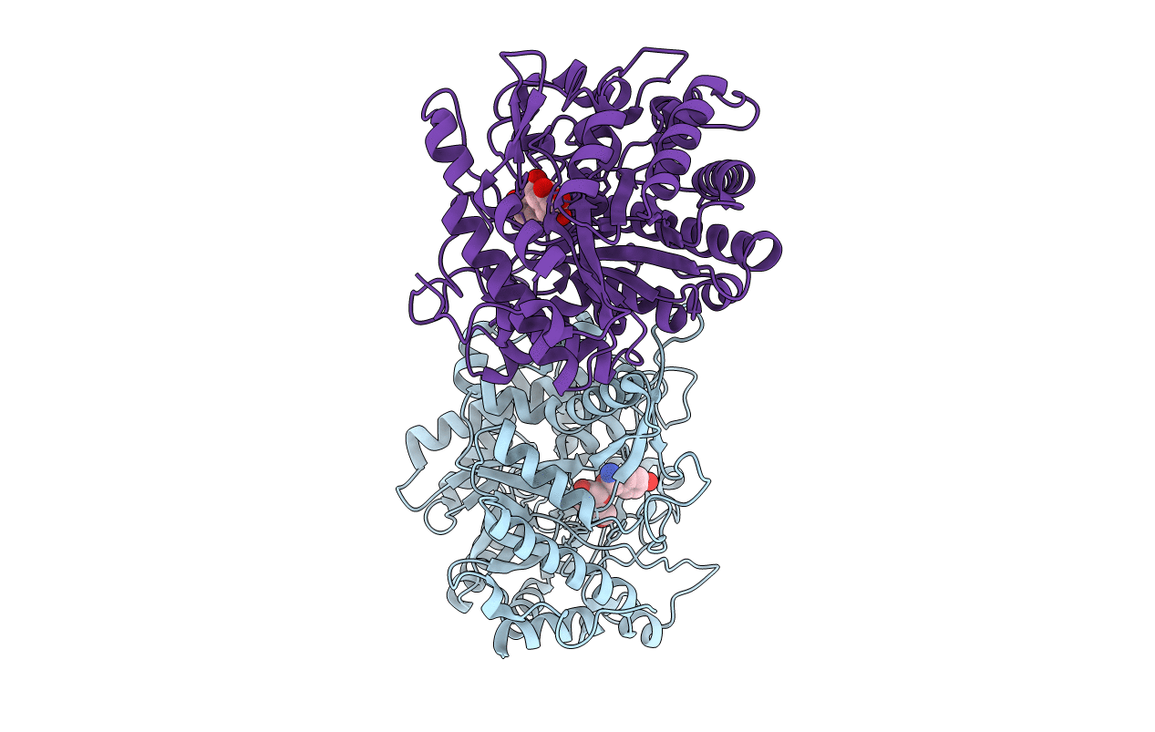 1E55 image