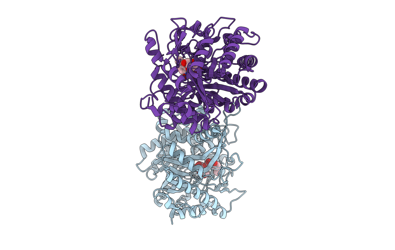 1E56 image