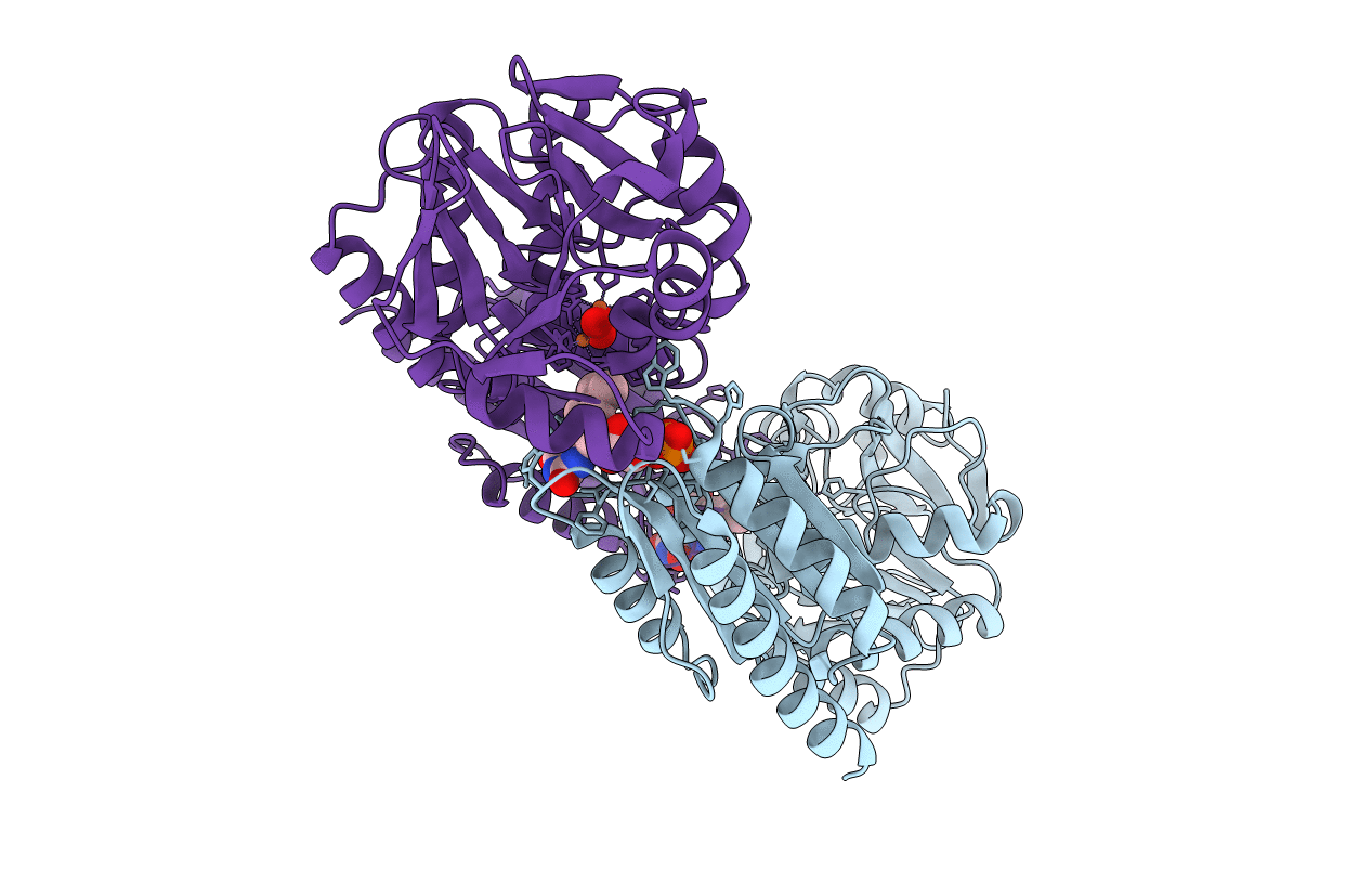 1E5D image