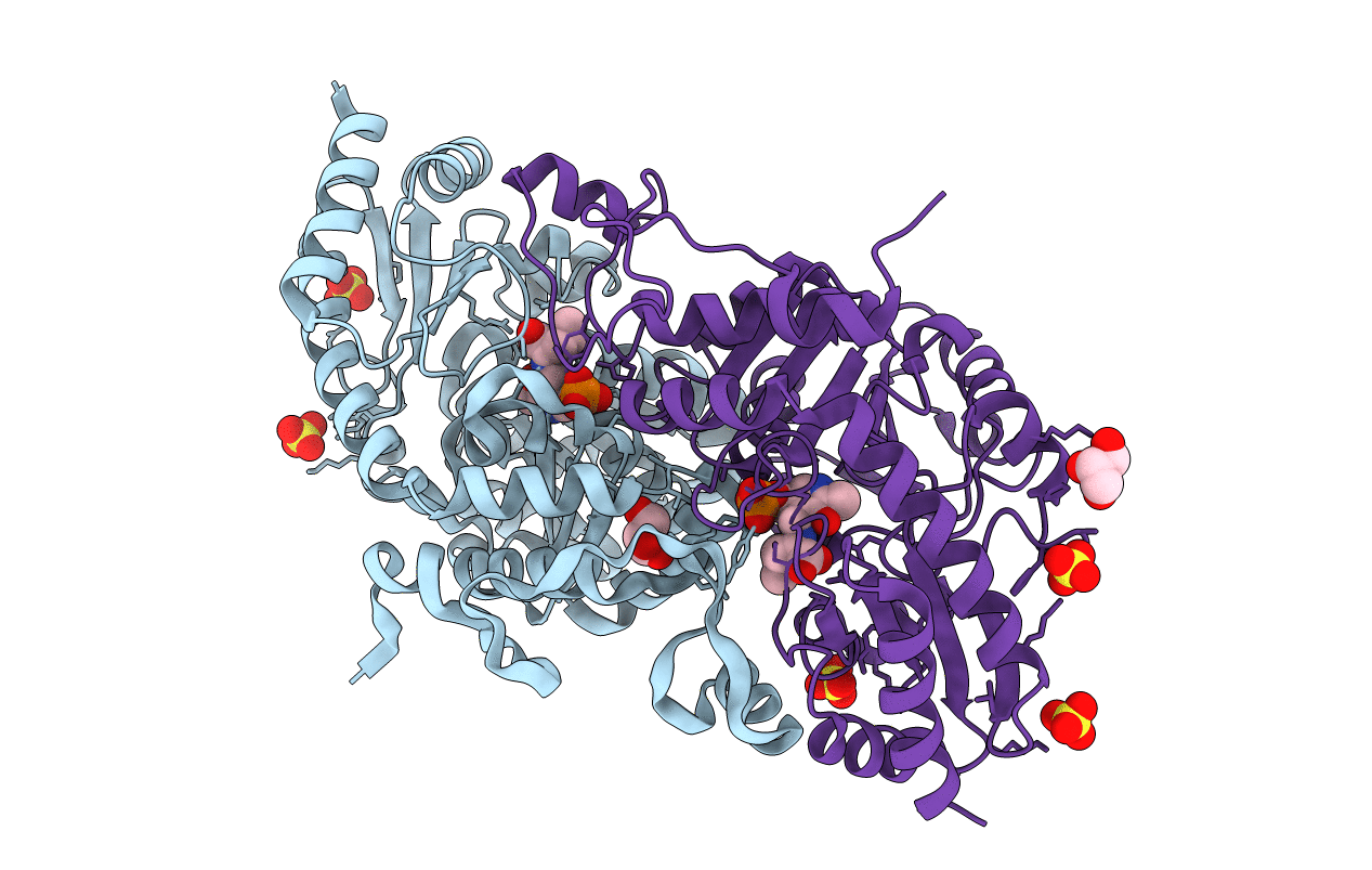 1E5E image
