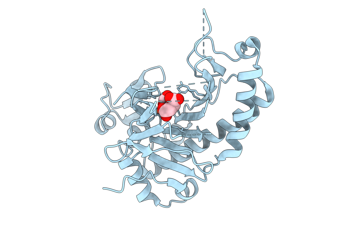 1E5H image
