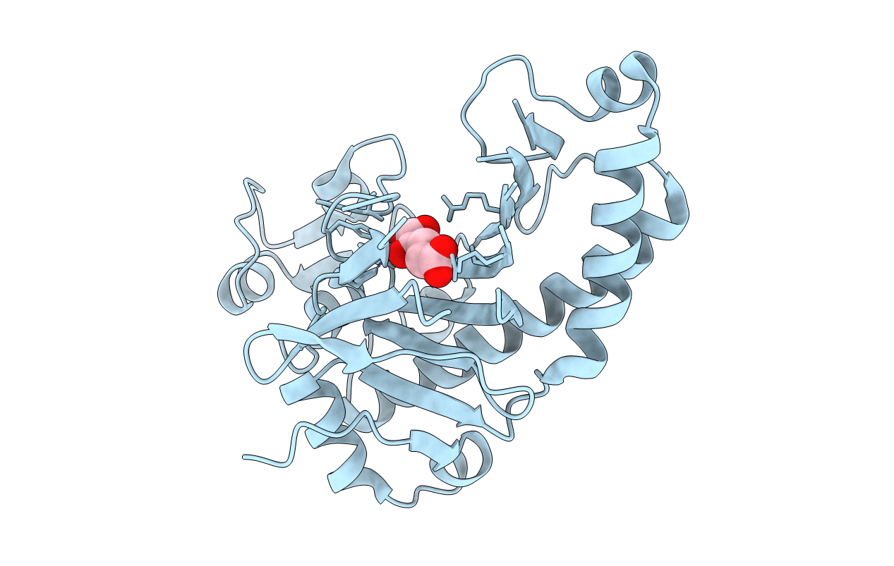 1E5I image