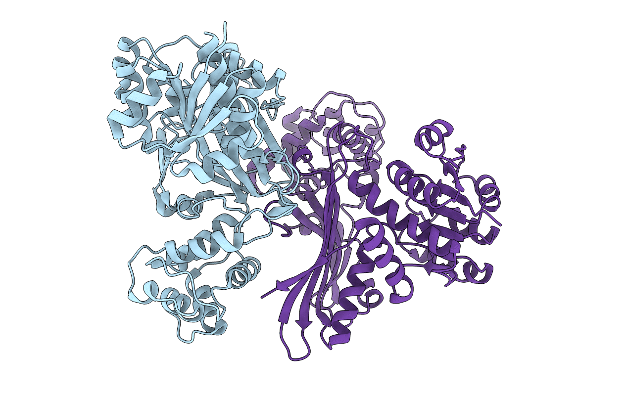 1E5L image