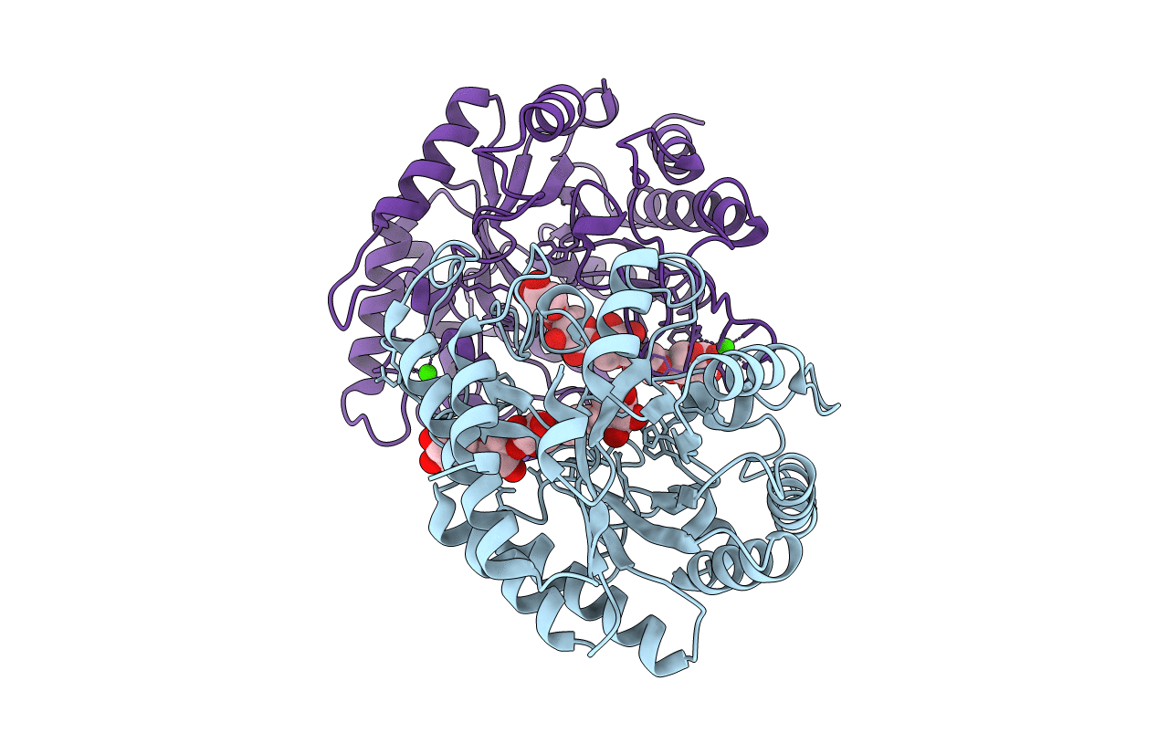 1E5N image