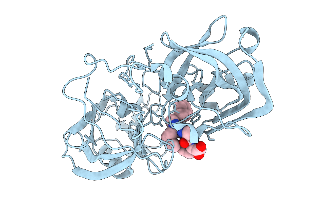 1E5O image
