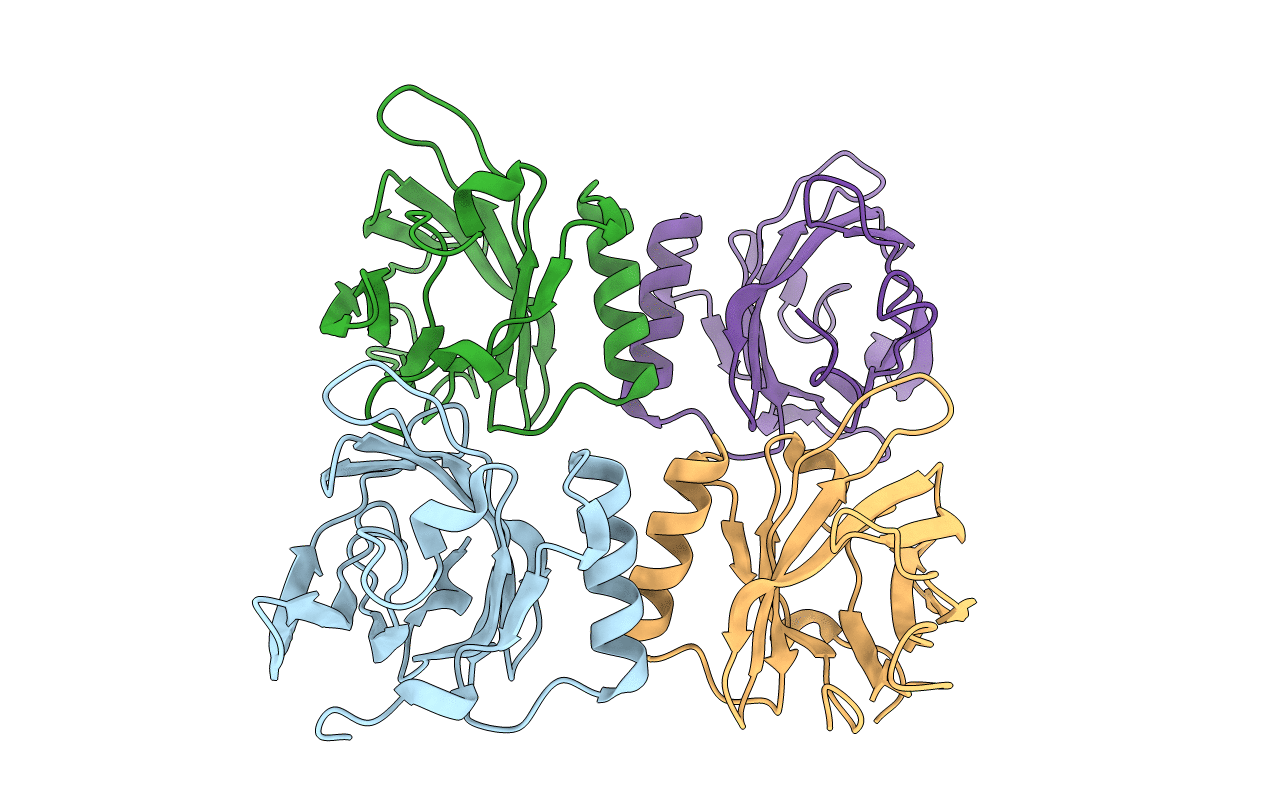 1E5P image