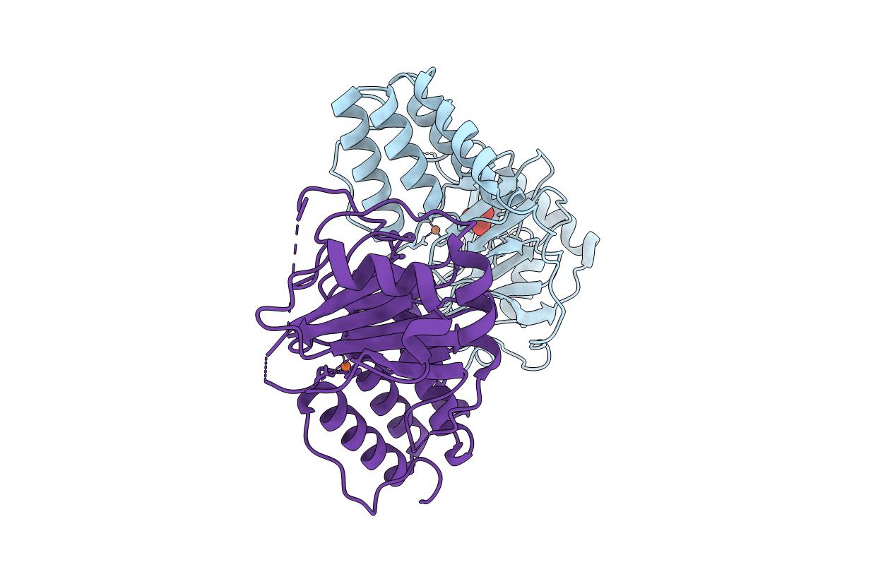 1E5S image