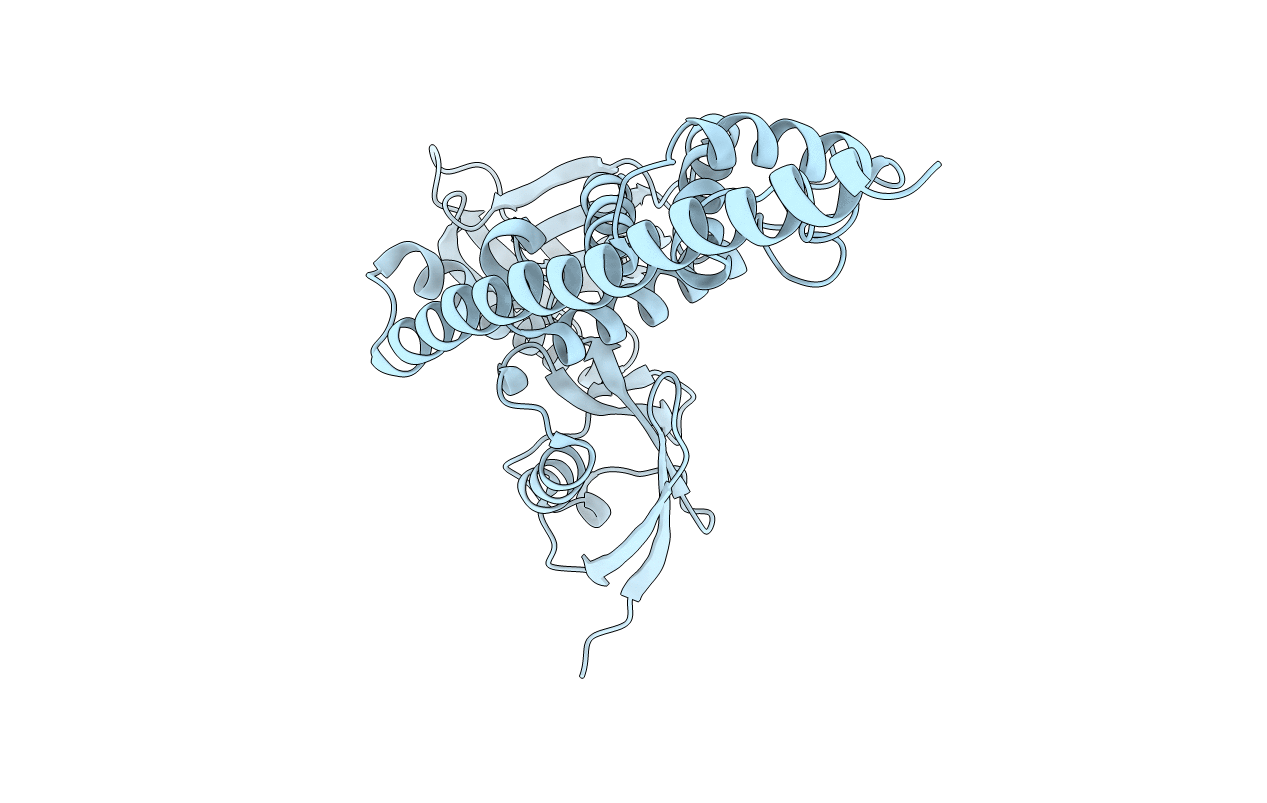 1E5W image