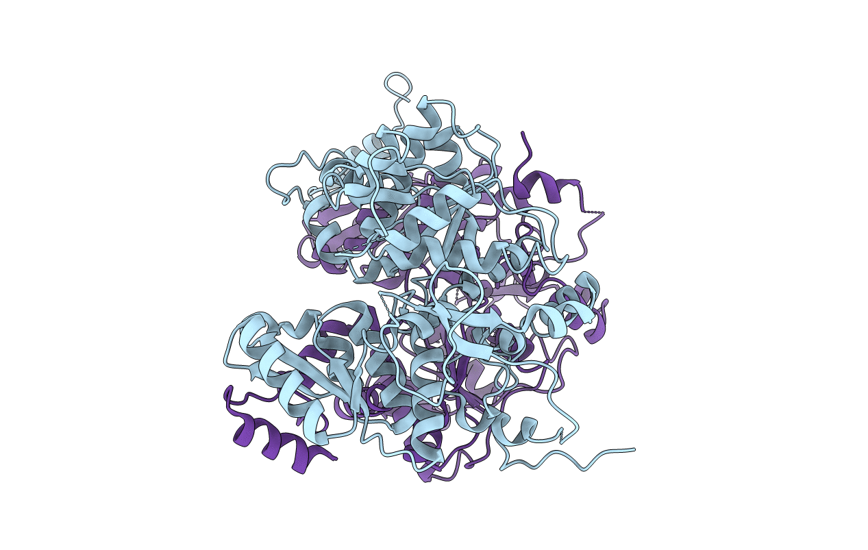 1E5X image