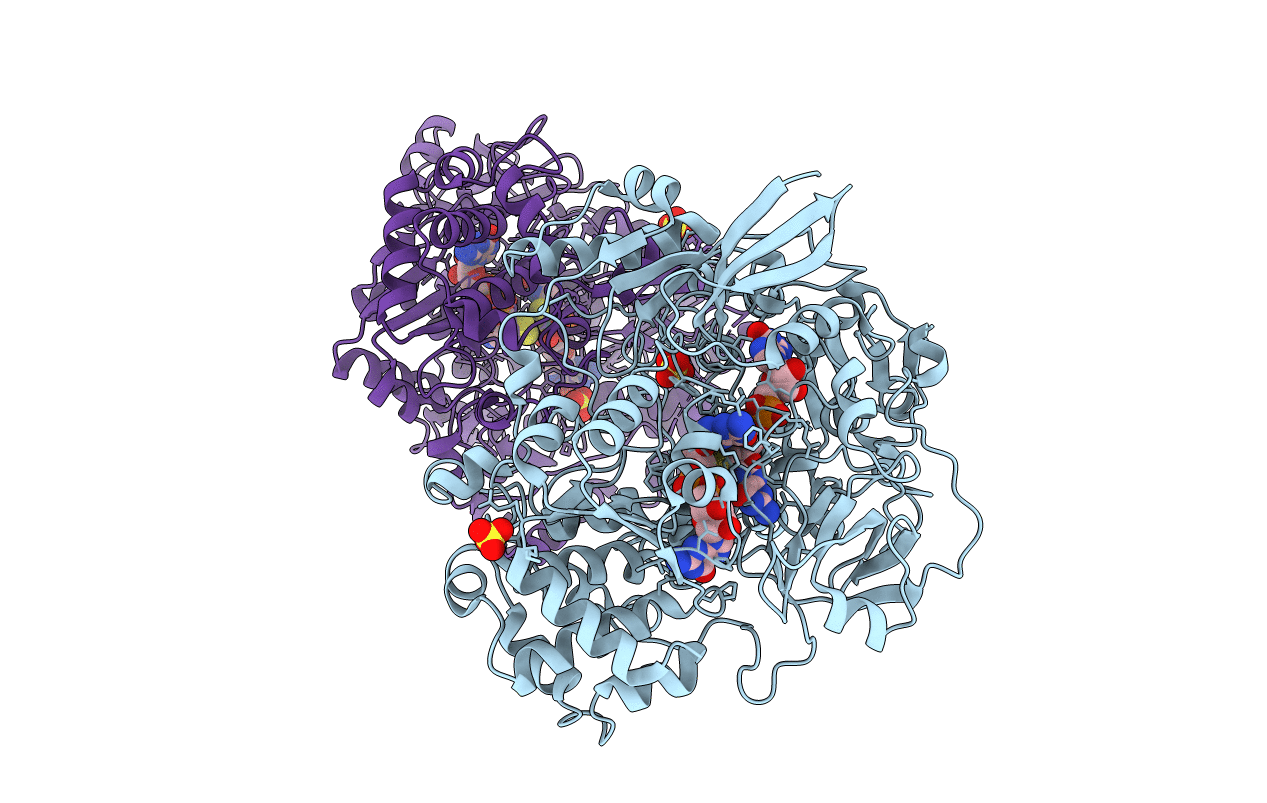 1E60 image