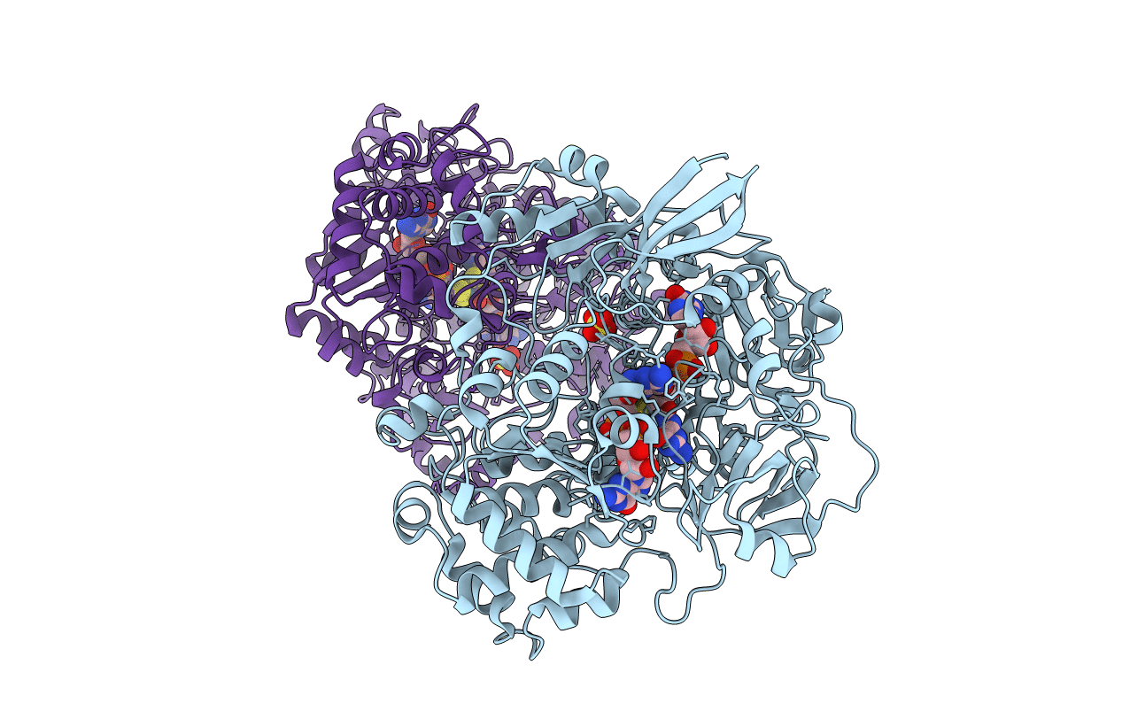 1E61 image