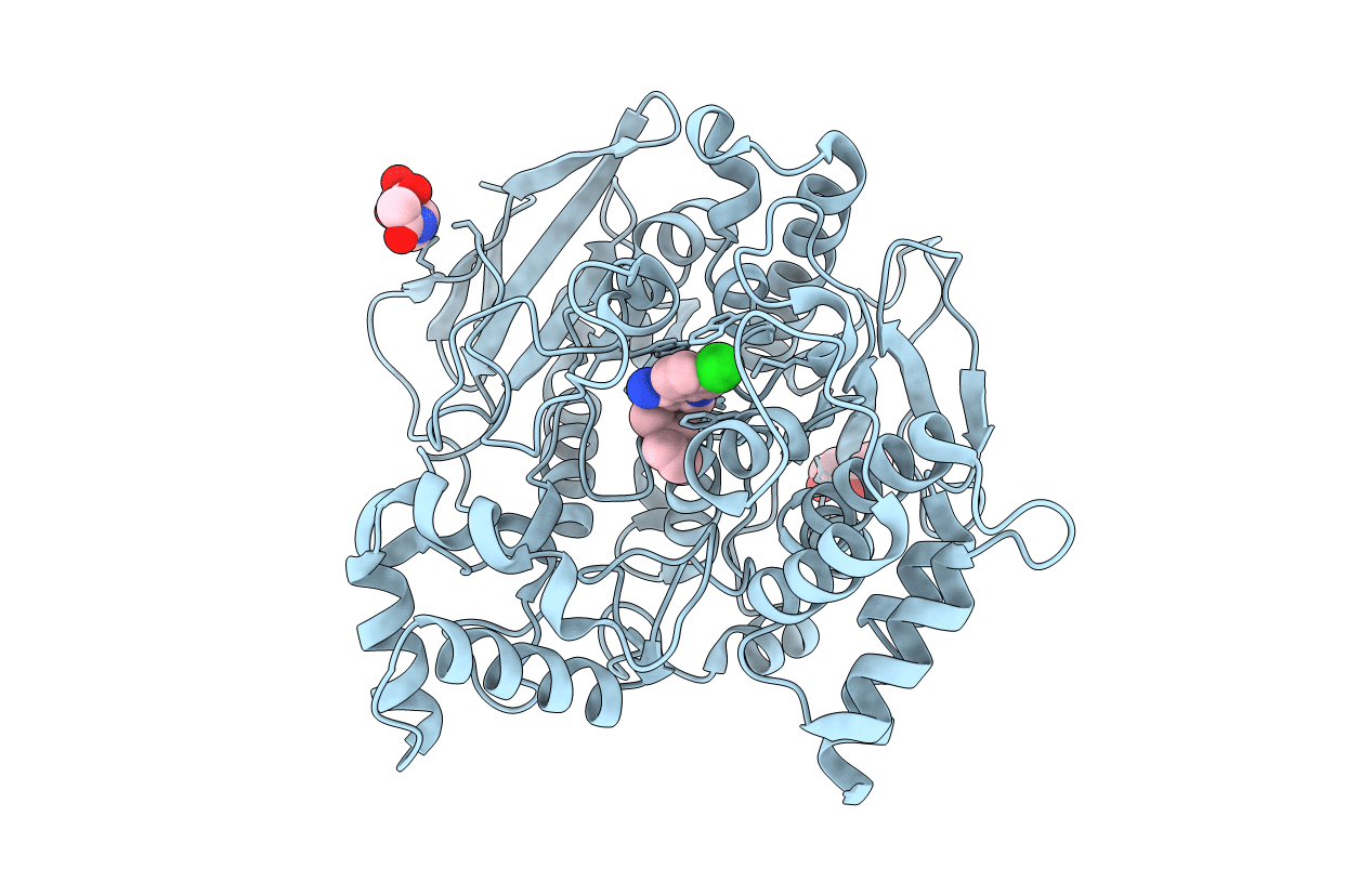 1E66 image
