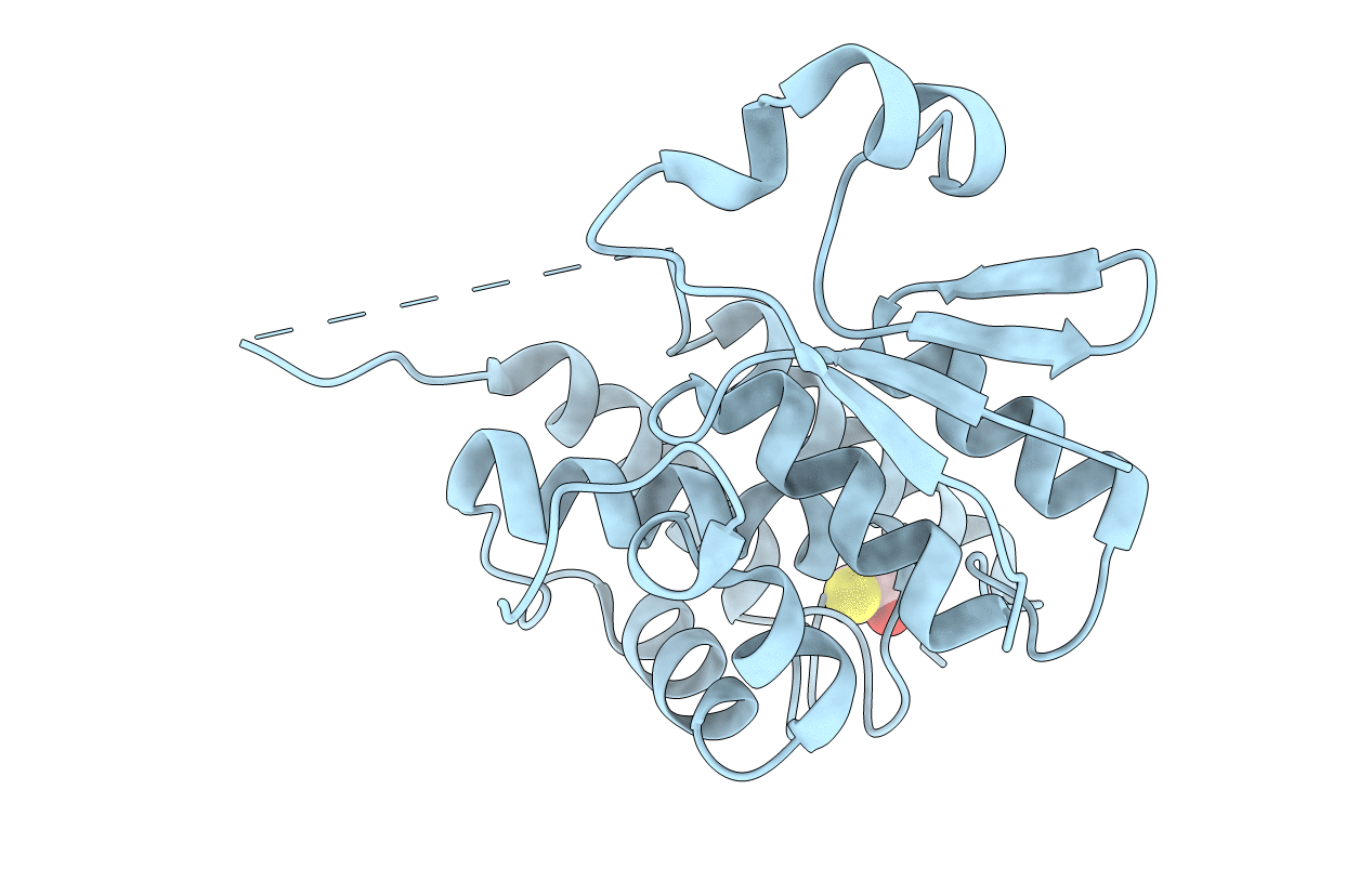 1E6B image