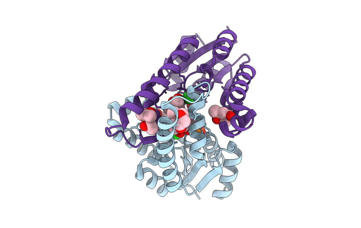 1E6C image