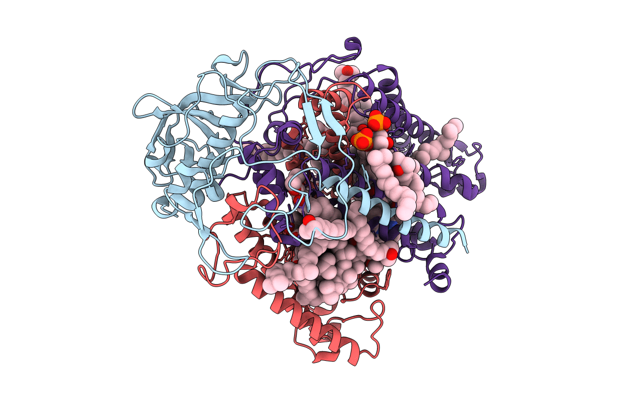 1E6D image