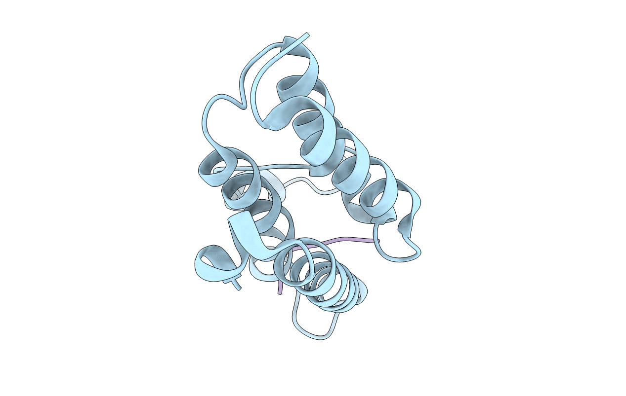 1E6I image