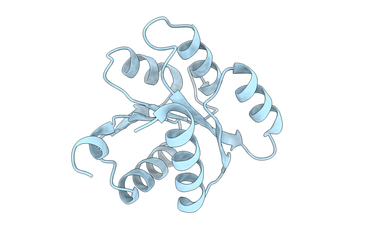 1E6K image