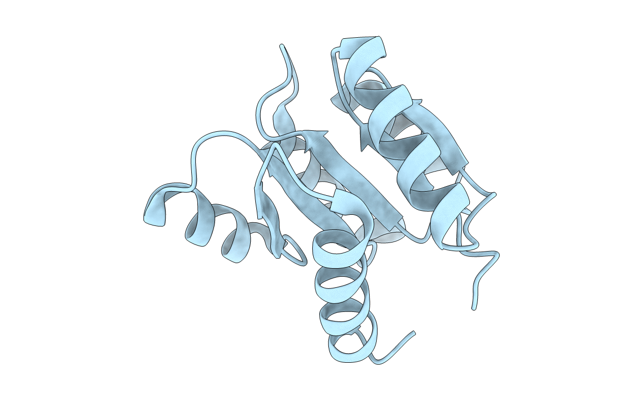 1E6L image
