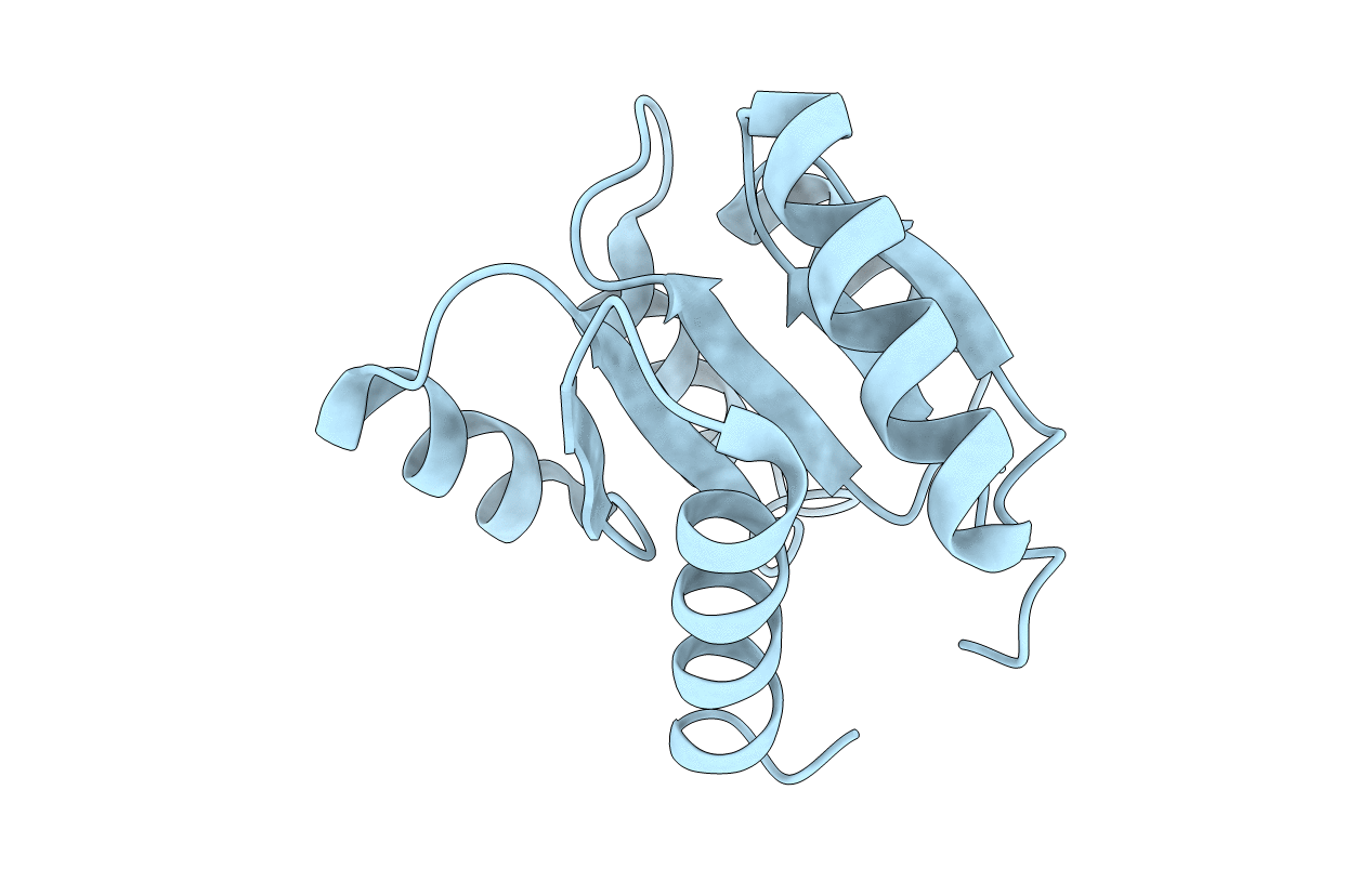 1E6M image
