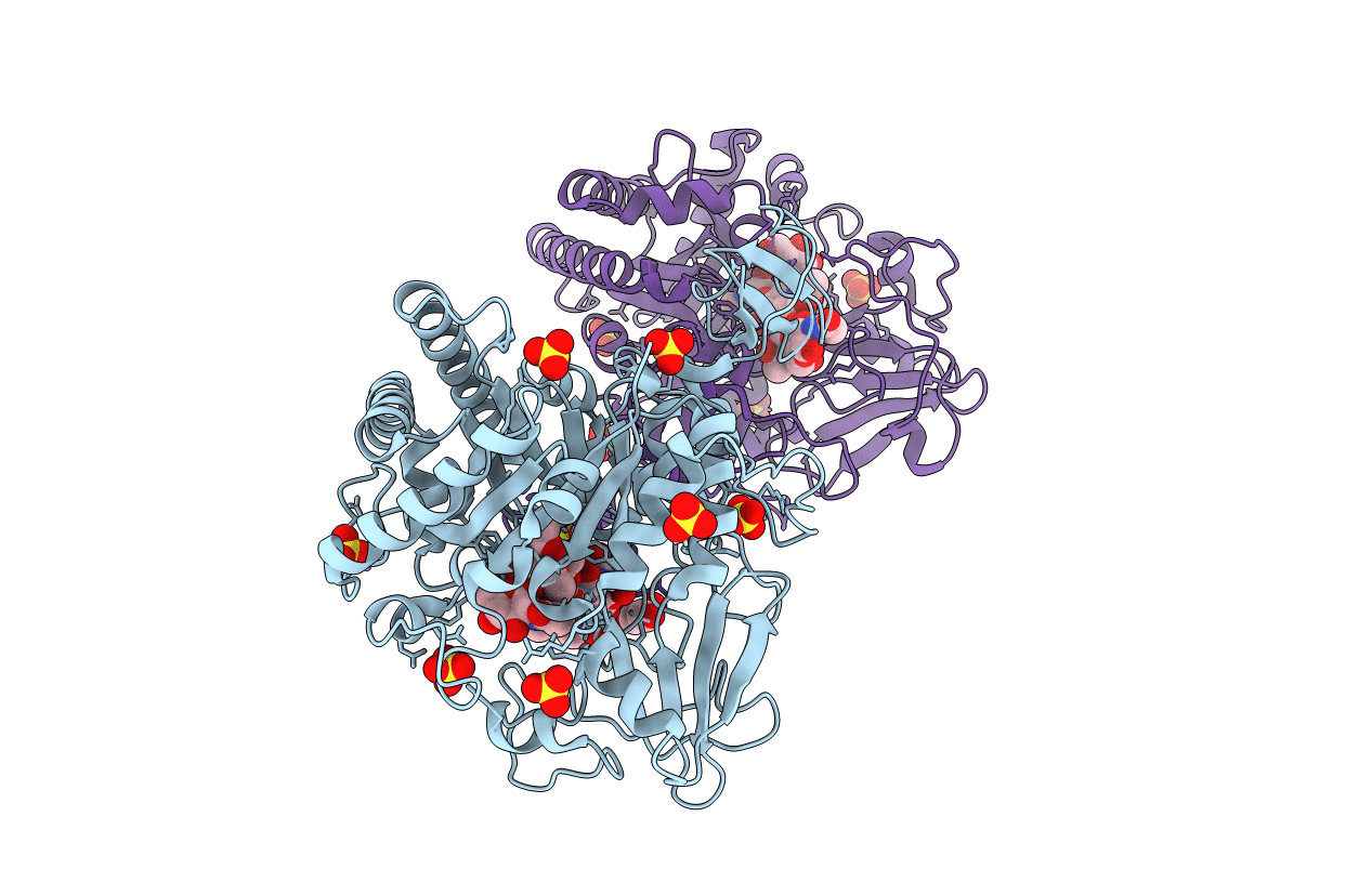 1E6N image