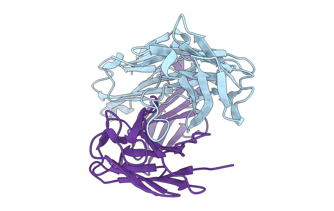 1E6O image