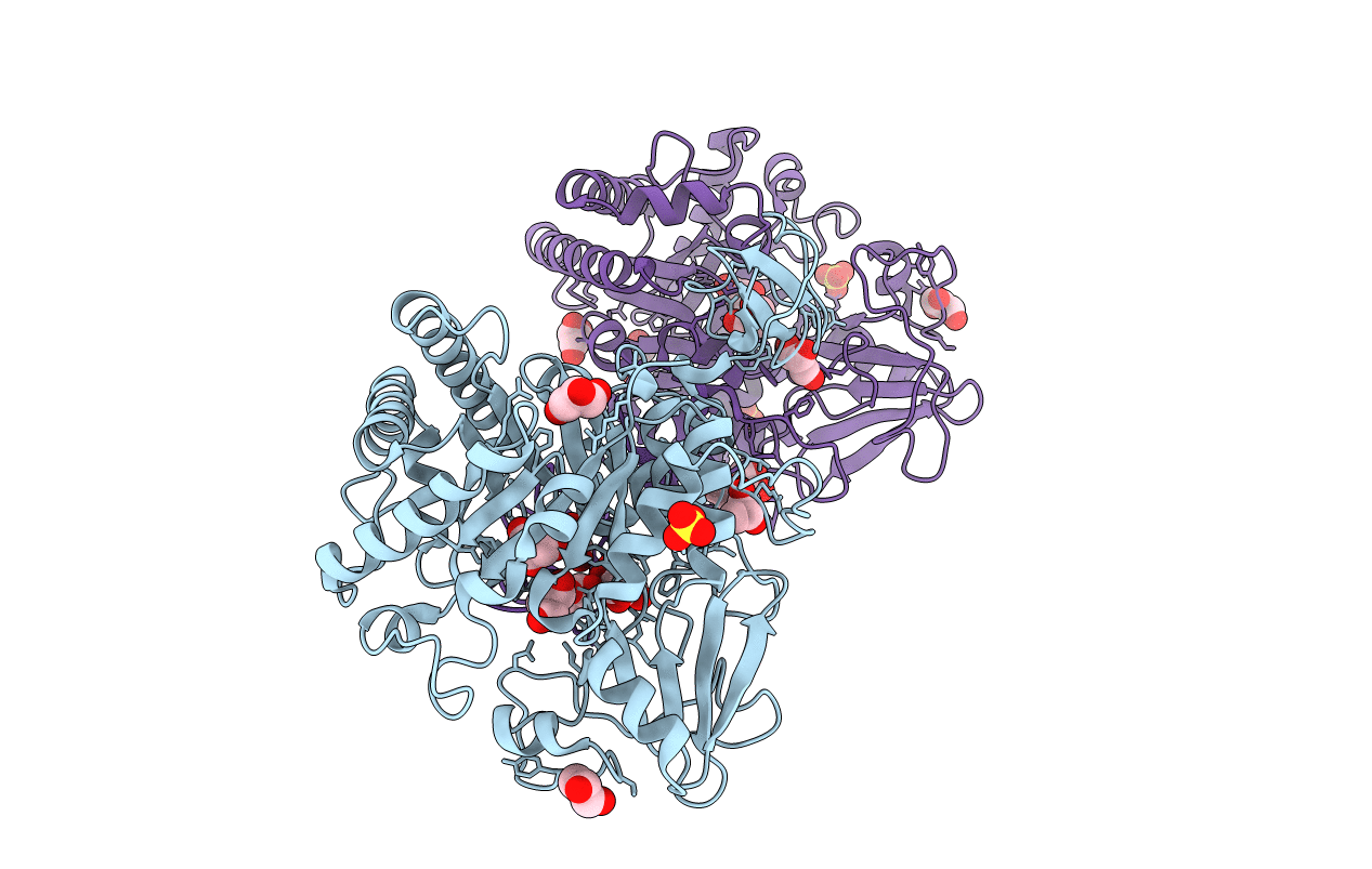 1E6P image