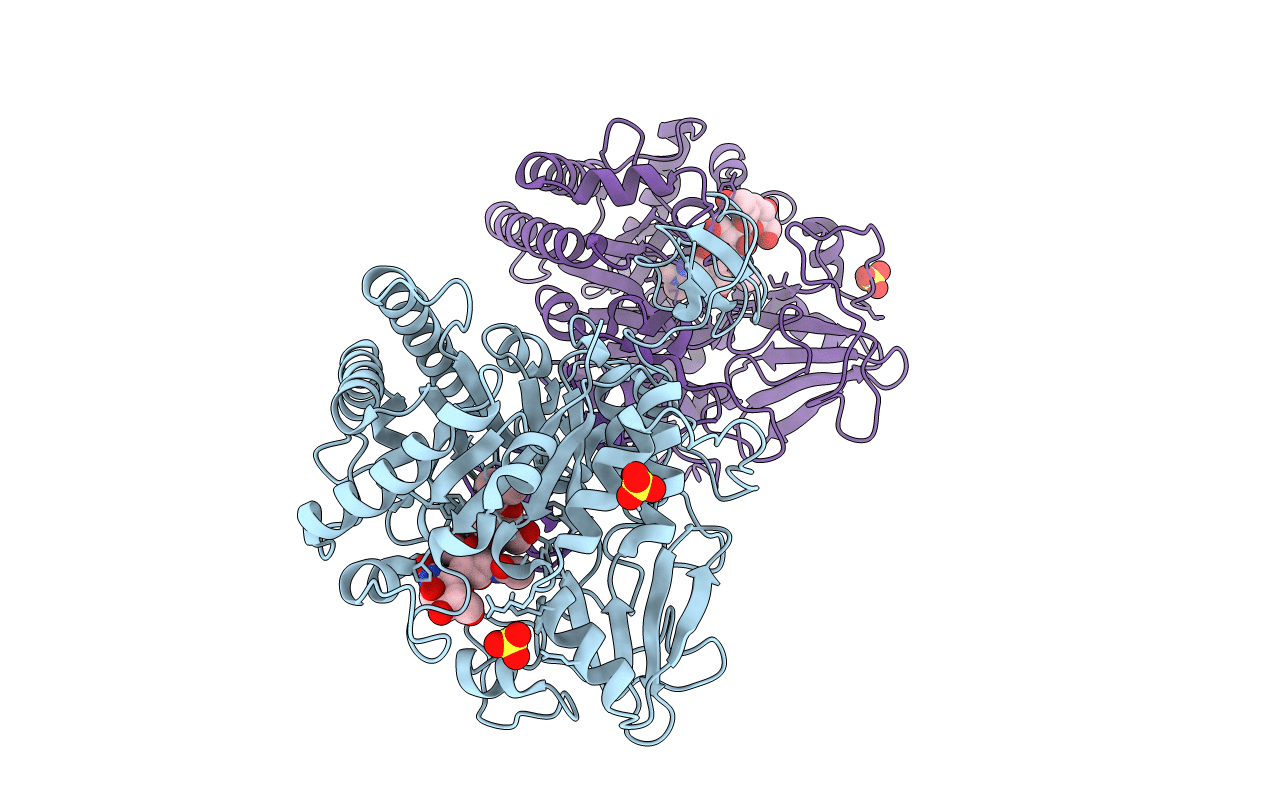 1E6R image