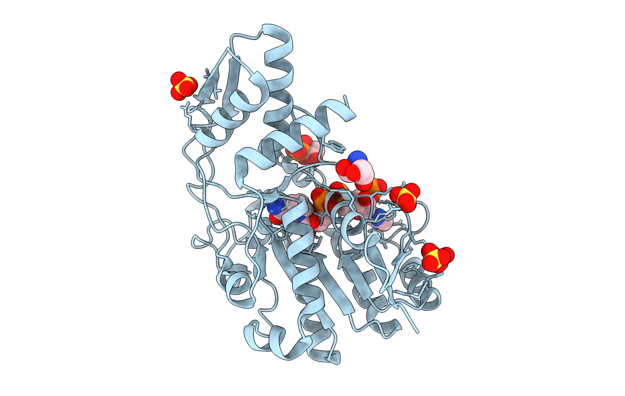 1E6U image