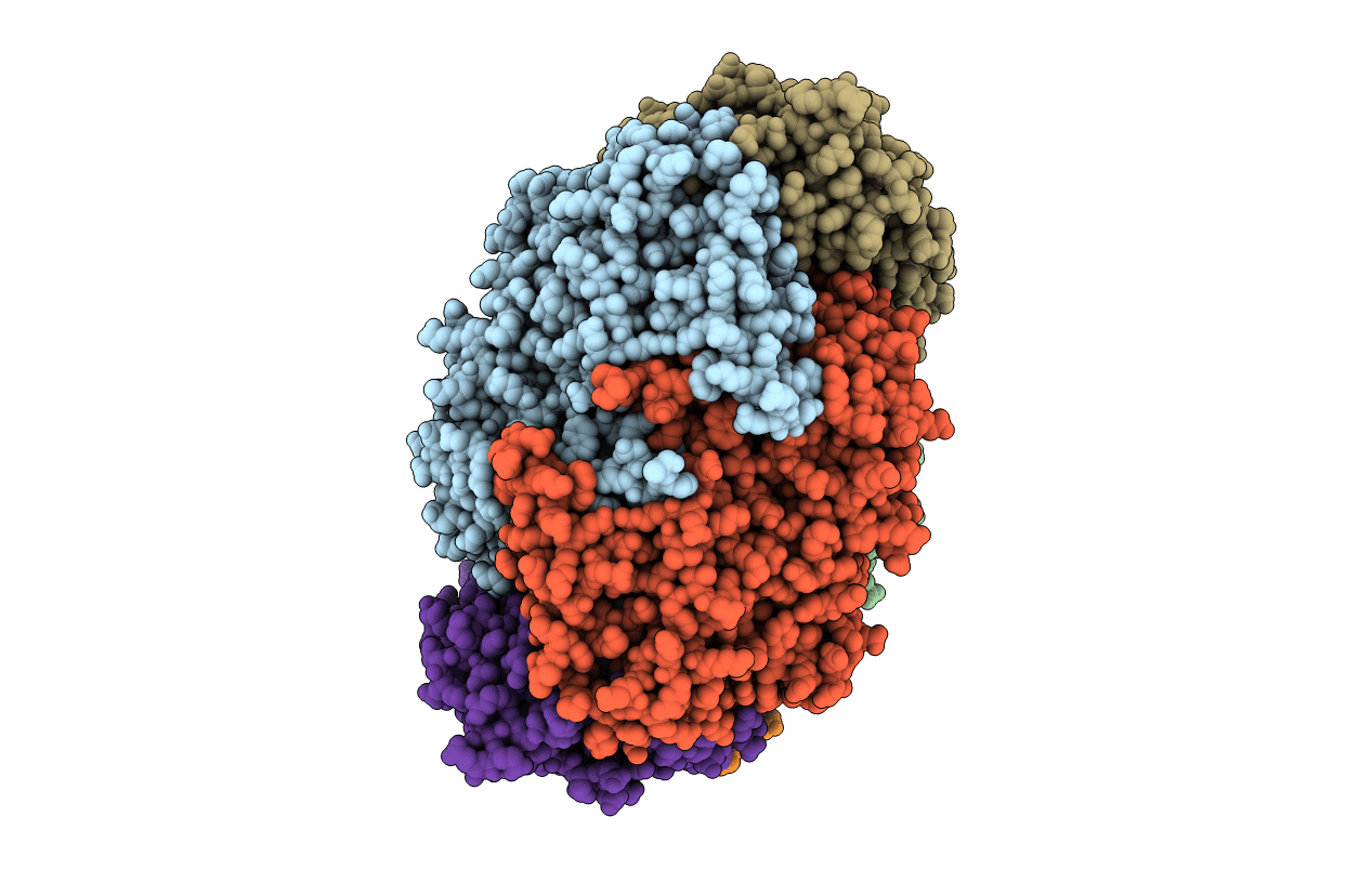 1E6V image