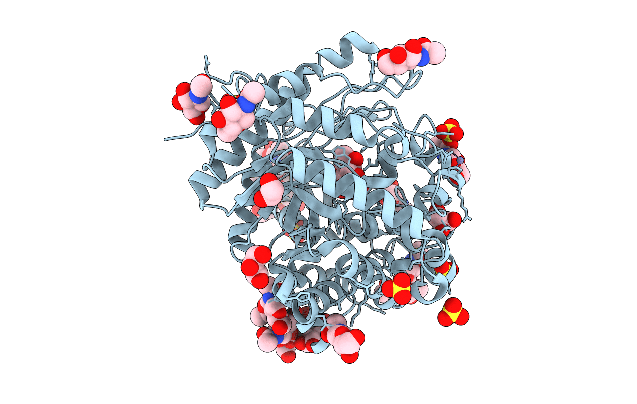 1E6X image