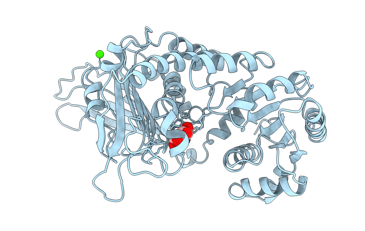 1E77 image