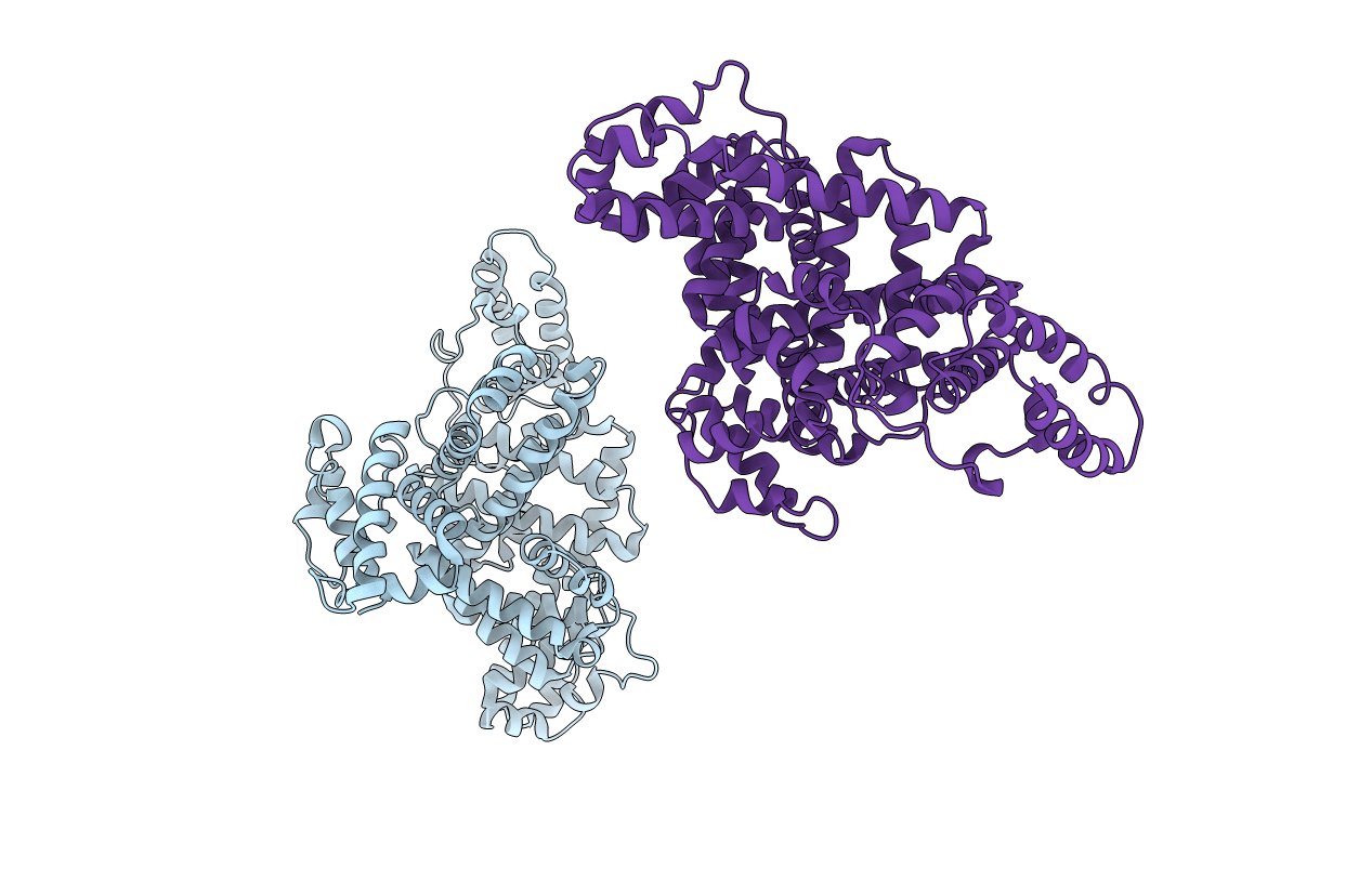 1E78 image