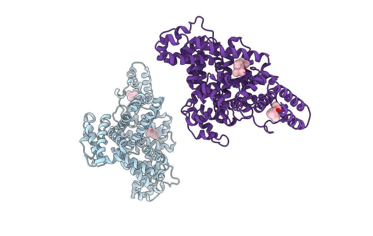 1E7A image
