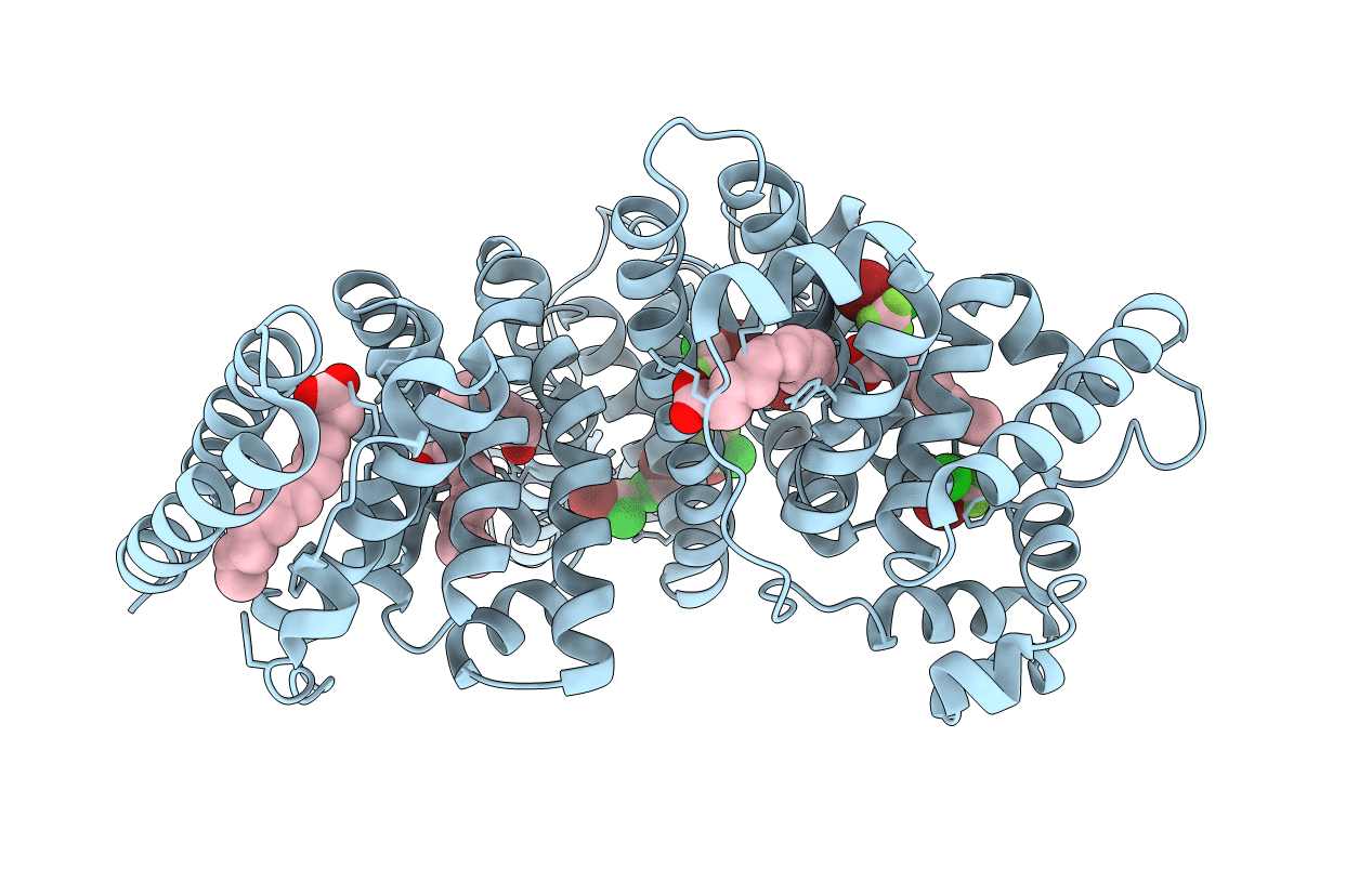 1E7C image