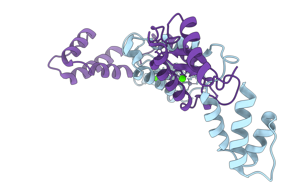 1E7D image