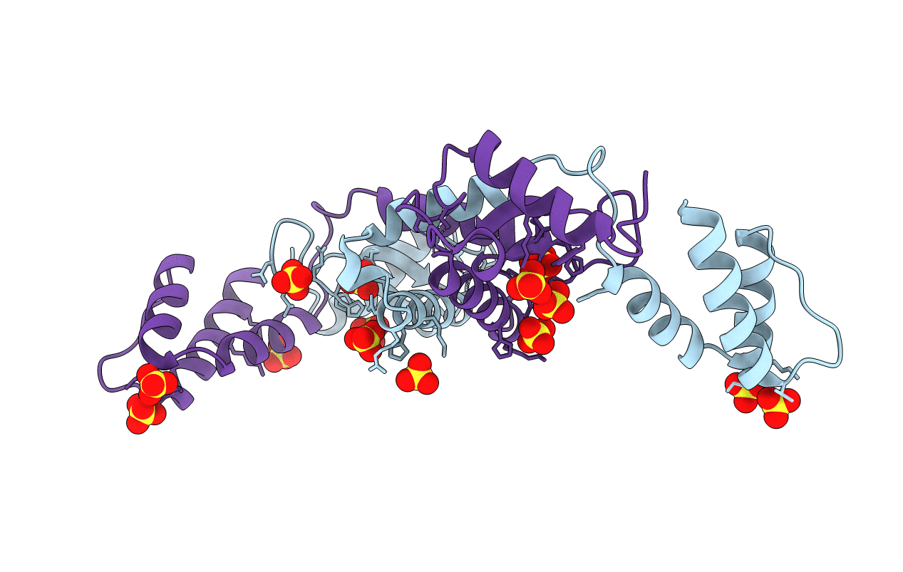 1E7L image