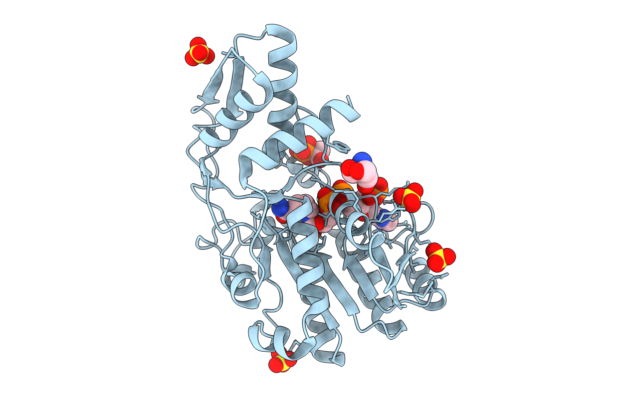 1E7Q image
