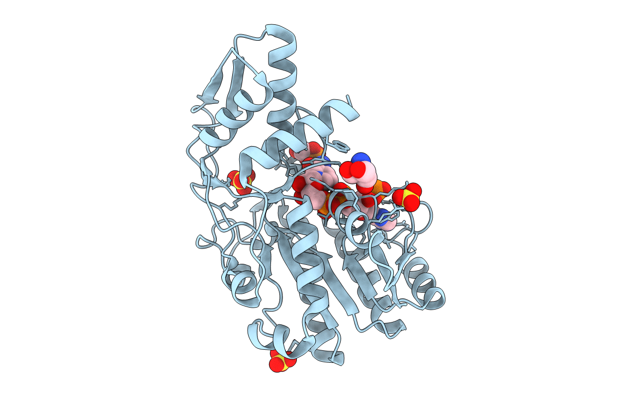 1E7S image