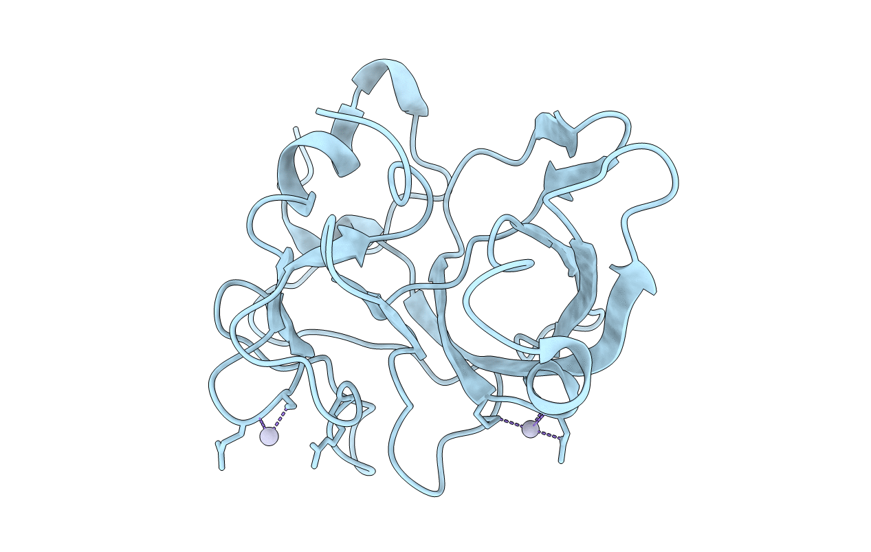 1E7Z image