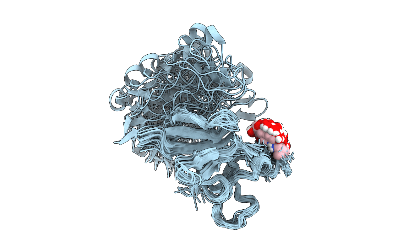 1E88 image